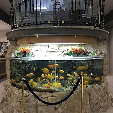 Restaurant De L'europort 3*