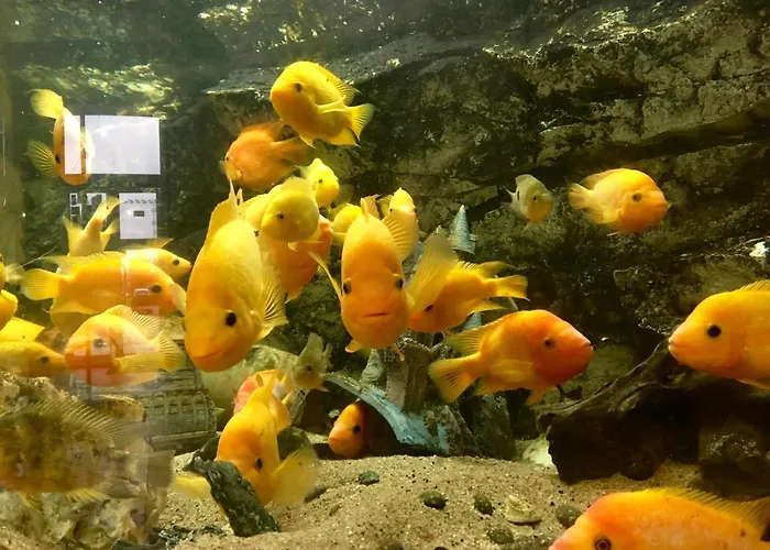 Restaurant De L'europort